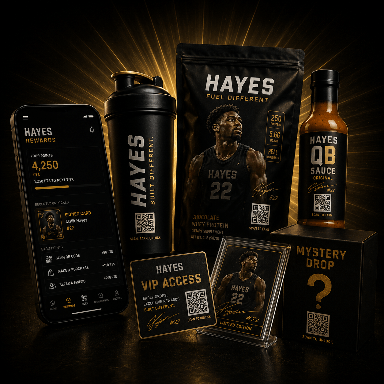 Hayes QR Experience