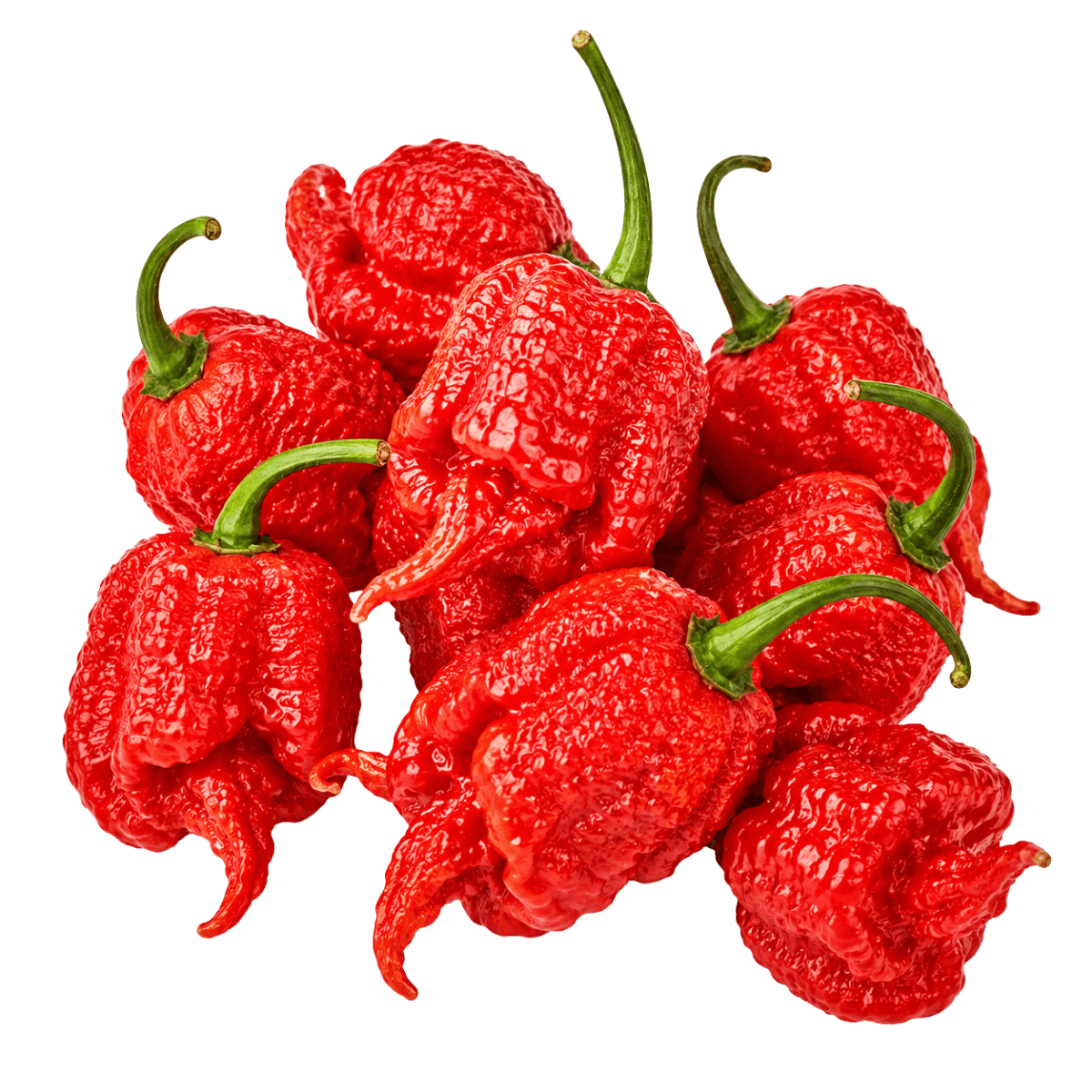 Carolina reaper peppers placeholder 1:1